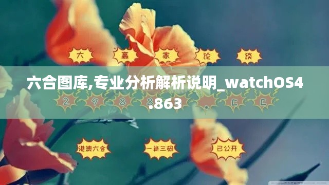 六合图库,专业分析解析说明_watchOS4.863