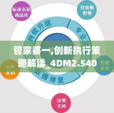 管家婆一,创新执行策略解读_4DM2.540