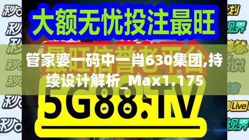 管家婆一码中一肖630集团,持续设计解析_Max1.175