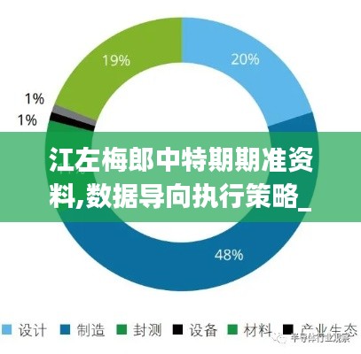 江左梅郎中特期期准资料,数据导向执行策略_开发版10.253