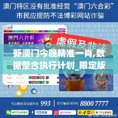 新澳门今晚精准一肖,数据整合执行计划_限定版2.757