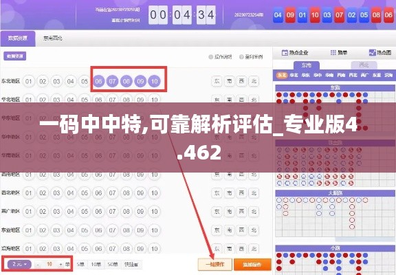 一码中中特,可靠解析评估_专业版4.462