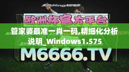 管家婆最准一肖一码,精细化分析说明_Windows1.575