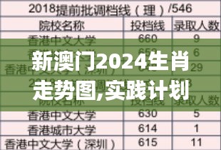 新澳门2024生肖走势图,实践计划推进_超值版19.501