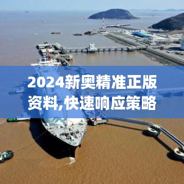 2024新奥精准正版资料,快速响应策略解析_探索版5.284