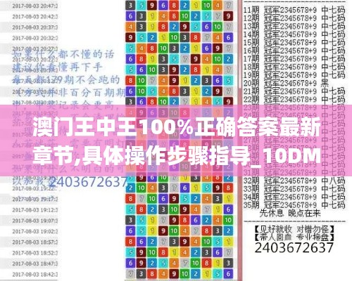 澳门王中王100%正确答案最新章节,具体操作步骤指导_10DM10.178