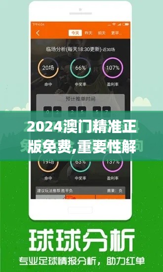 2024澳门精准正版免费,重要性解释落实方法_MP4.436