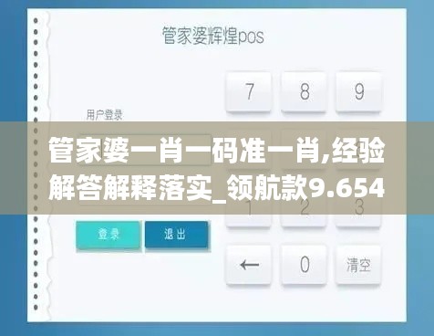 管家婆一肖一码准一肖,经验解答解释落实_领航款9.654
