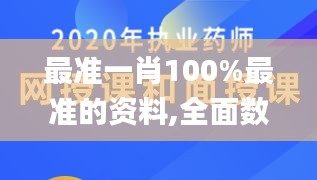 最准一肖100%最准的资料,全面数据解析执行_战略版8.113