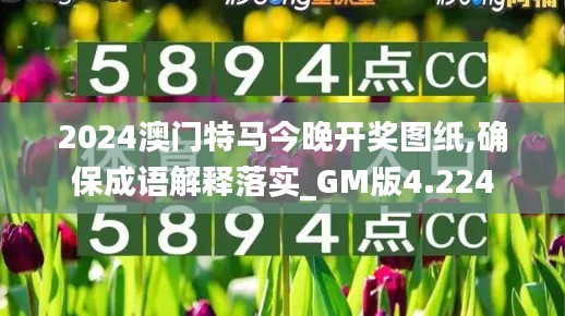 2024澳门特马今晚开奖图纸,确保成语解释落实_GM版4.224