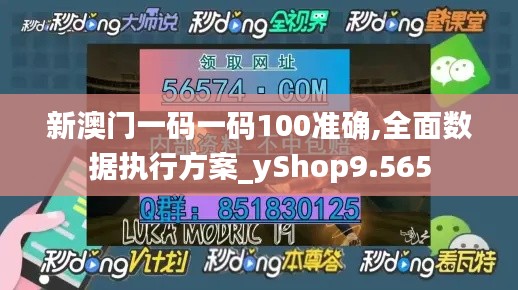 新澳门一码一码100准确,全面数据执行方案_yShop9.565