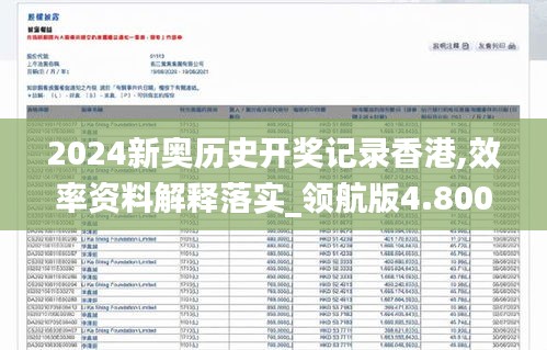 2024新奥历史开奖记录香港,效率资料解释落实_领航版4.800