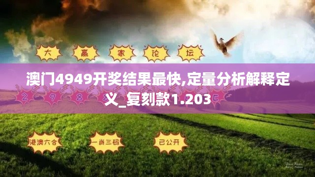 澳门4949开奖结果最快,定量分析解释定义_复刻款1.203