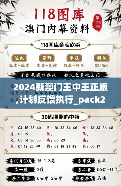 2024新澳门王中王正版,计划反馈执行_pack2.466