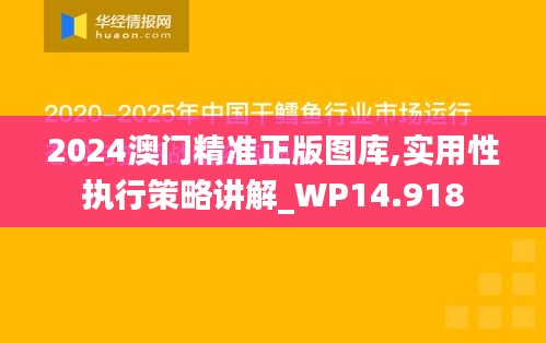 2024澳门精准正版图库,实用性执行策略讲解_WP14.918