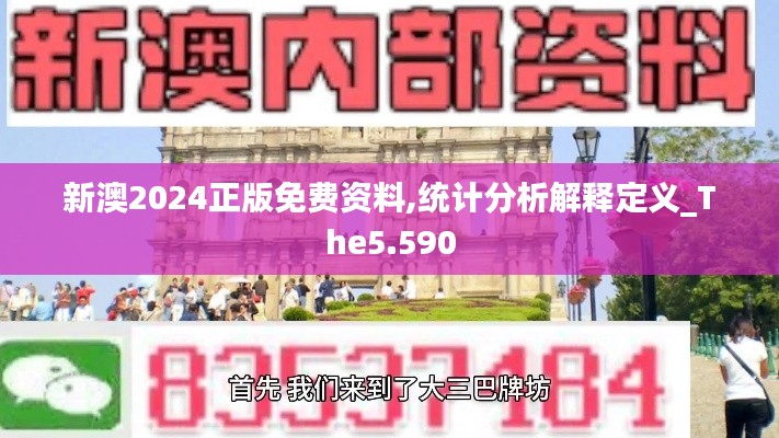 新澳2024正版免费资料,统计分析解释定义_The5.590