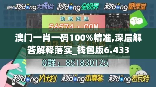 澳门一肖一码100%精准,深层解答解释落实_钱包版6.433