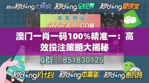 澳门一肖一码100%精准一：高效投注策略大揭秘