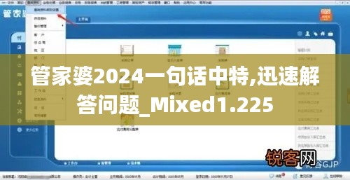 管家婆2024一句话中特,迅速解答问题_Mixed1.225