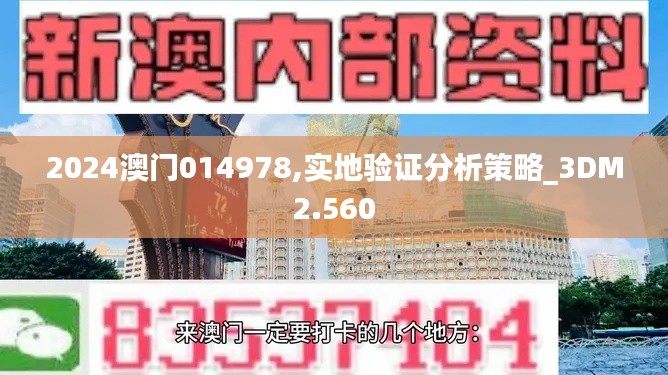 2024澳门014978,实地验证分析策略_3DM2.560