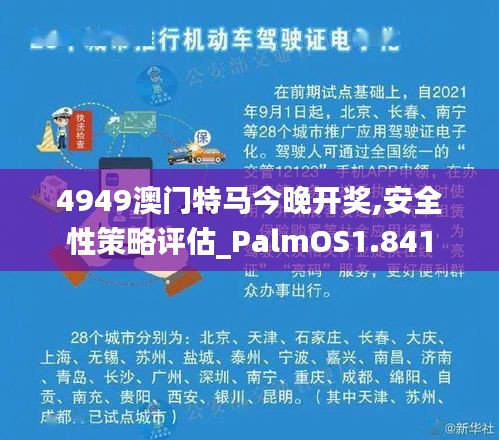 4949澳门特马今晚开奖,安全性策略评估_PalmOS1.841