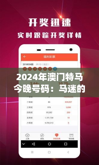 2024年澳门特马今晚号码：马迷的期待和预测