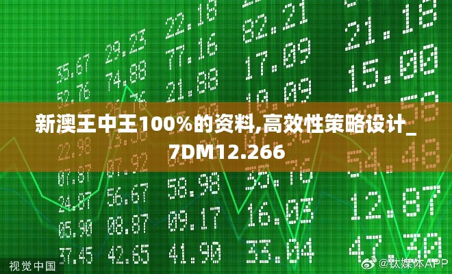 新澳王中王100%的资料,高效性策略设计_7DM12.266