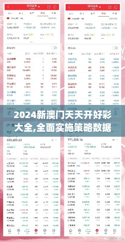 2024新澳门天天开好彩大全,全面实施策略数据_VIP4.235