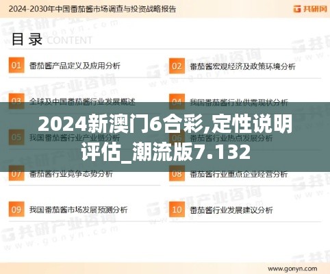 2024新澳门6合彩,定性说明评估_潮流版7.132