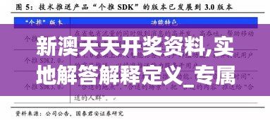 新澳天天开奖资料,实地解答解释定义_专属版7.130