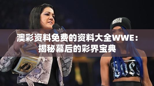 澳彩资料免费的资料大全WWE：揭秘幕后的彩界宝典