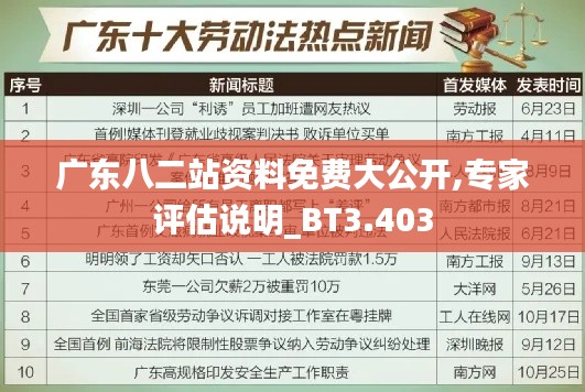 广东八二站资料免费大公开,专家评估说明_BT3.403