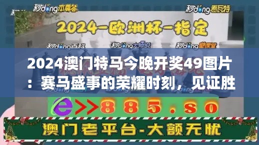 2024澳门特马今晚开奖49图片：赛马盛事的荣耀时刻，见证胜利者的风采