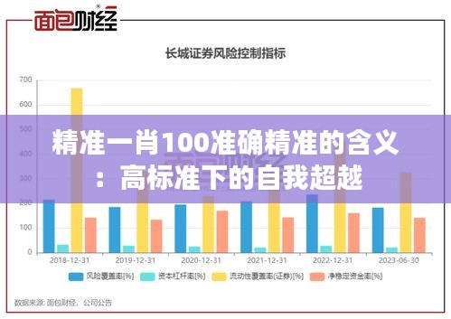 精准一肖100准确精准的含义：高标准下的自我超越