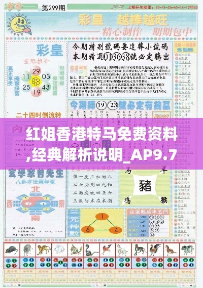 红姐香港特马免费资料,经典解析说明_AP9.748