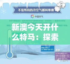 新澳今天开什么特马：探索新澳特色活动的独特魅力与创新体验