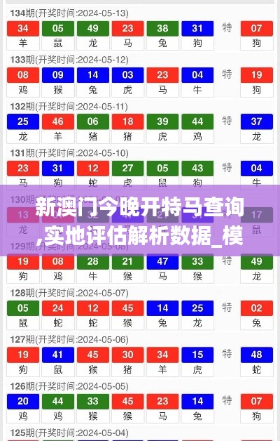 新澳门今晚开特马查询,实地评估解析数据_模拟版19.454