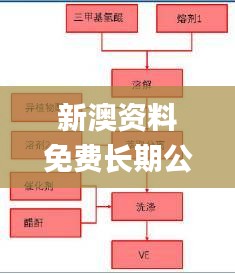 新澳资料免费长期公开,持续设计解析方案_Max2.161