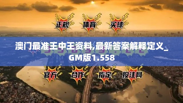 澳门最准王中王资料,最新答案解释定义_GM版1.558