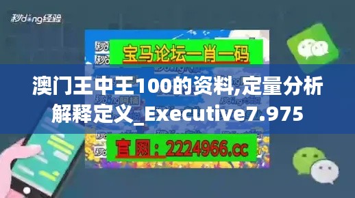 澳门王中王100的资料,定量分析解释定义_Executive7.975