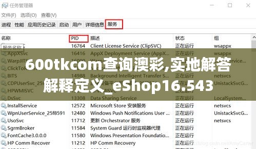 600tkcom查询澳彩,实地解答解释定义_eShop16.543