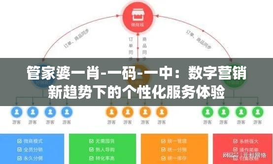 管家婆一肖-一码-一中：数字营销新趋势下的个性化服务体验