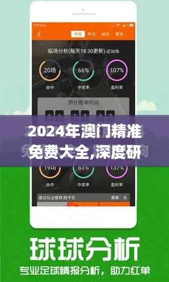 2024年澳门精准免费大全,深度研究解释定义_经典款1.570