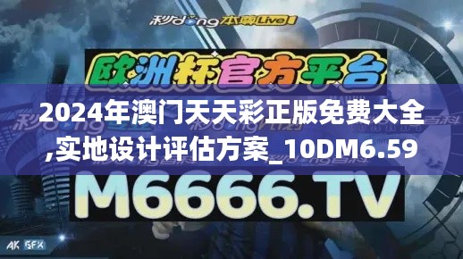 2024年澳门天天彩正版免费大全,实地设计评估方案_10DM6.592