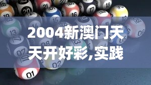 2004新澳门天天开好彩,实践研究解释定义_4DM18.338