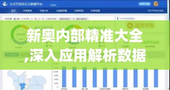 新奥内部精准大全,深入应用解析数据_iShop4.570