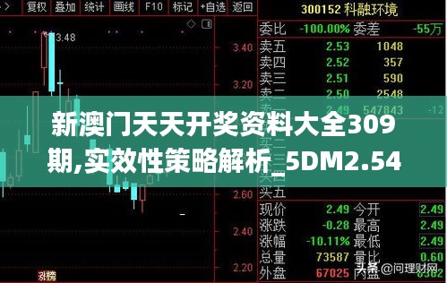 新澳门天天开奖资料大全309期,实效性策略解析_5DM2.549