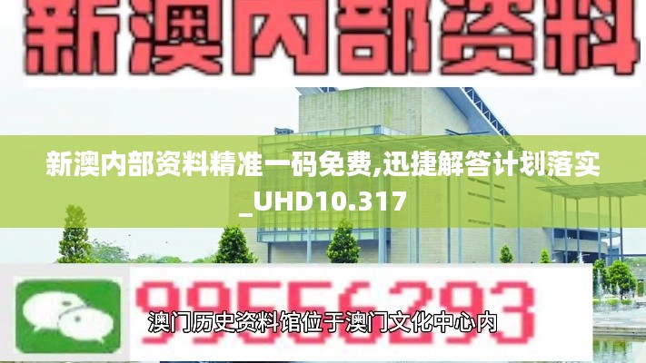 新澳内部资料精准一码免费,迅捷解答计划落实_UHD10.317