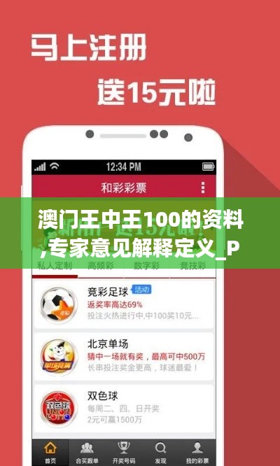 澳门王中王100的资料,专家意见解释定义_Pixel6.793