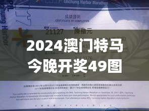 2024澳门特马今晚开奖49图片,实地评估说明_zShop9.187